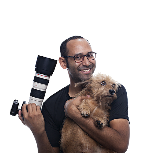 Joel - Fotógrafo Profesional de Mascotas en Panamá