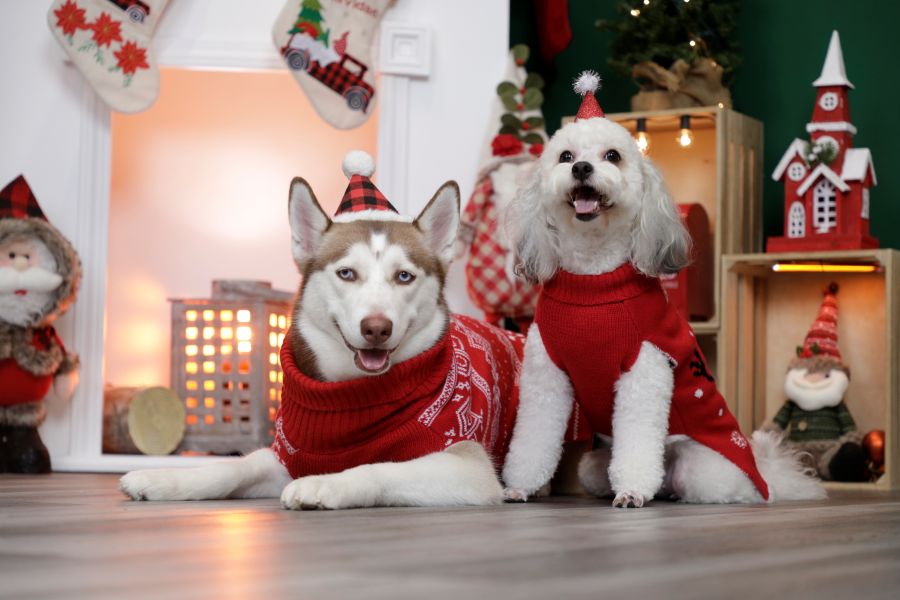Jingle Duo