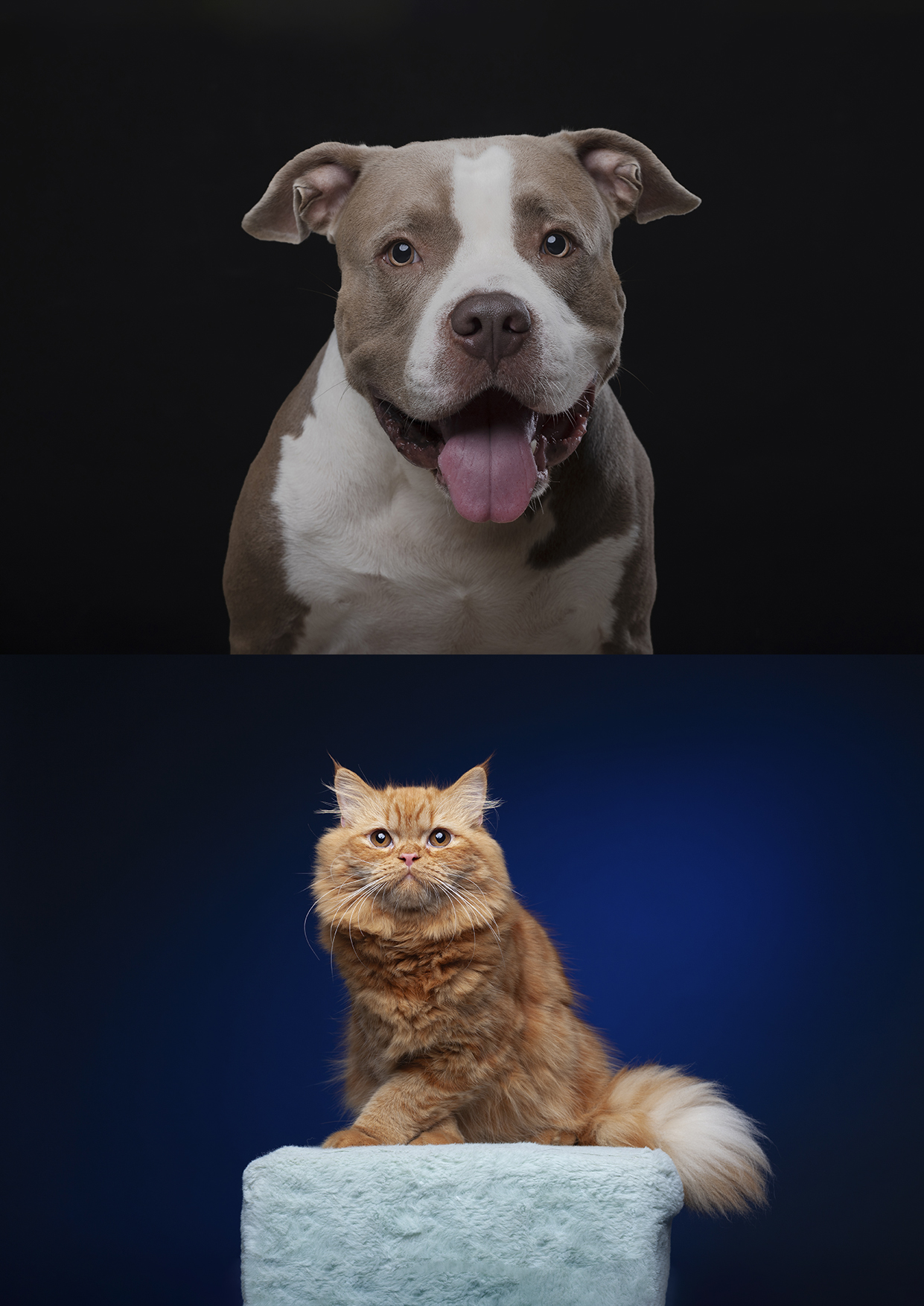 Trabajo fotográfico 5